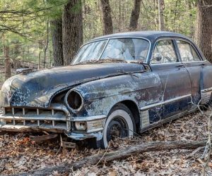 Sell your car in Anthony